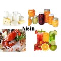 (Nisin) - = Nisin Aditivo Alimentar