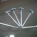 Galvanized Smooth Shank Roofingumbrella Nail