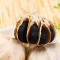 Black Garlic And Black Garlic Machine Sale