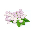 Hot Product mints sweet candy stevia mints