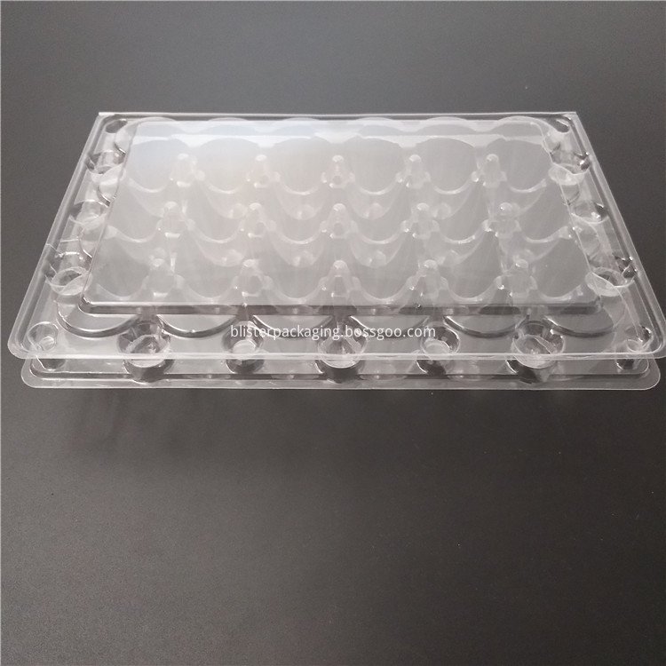 quail egg containers plastic