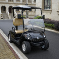 2 seats ezgo golf carts