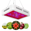 Garden Plant Flower Full Spectrum 1000W Grow Light