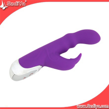 Sex Product Multi-Speed ​​Vibrating Erotic Glass Dildo pour Femme (DYAST303)