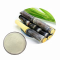 High quality sugarcane powder with more benefit