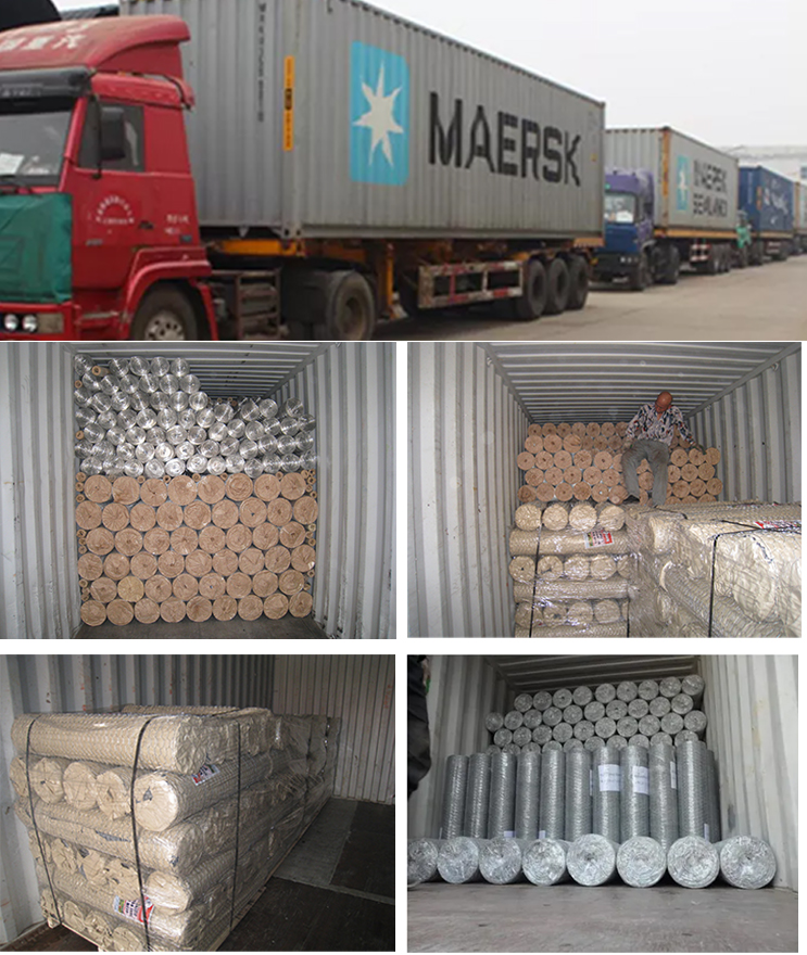 Hexagonal wire mesh Hexagonal wire mesh