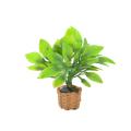 Dolls House Miniature Resin Garden FlowerPot with Flower