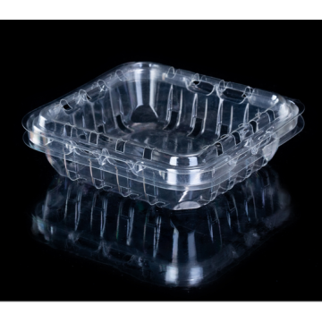 Disposable Clear Food Grade Plastic Fruit Packaging Box