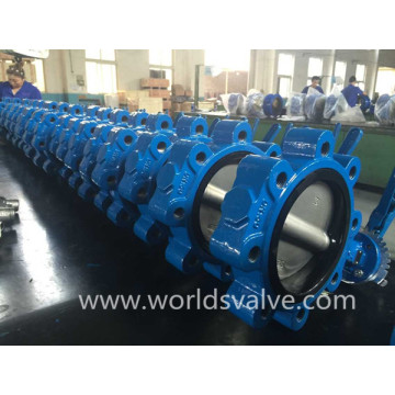 Lug Type Butterfly Valve (WDS)