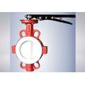 Red Color Butterfly Valve for Fire Protection