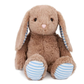 Bunny Rabbit Stuffed Animal