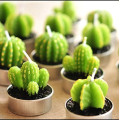 Green cactus shape candle wax art candles