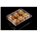 6pack kiwi fruit plastic packaging boxes