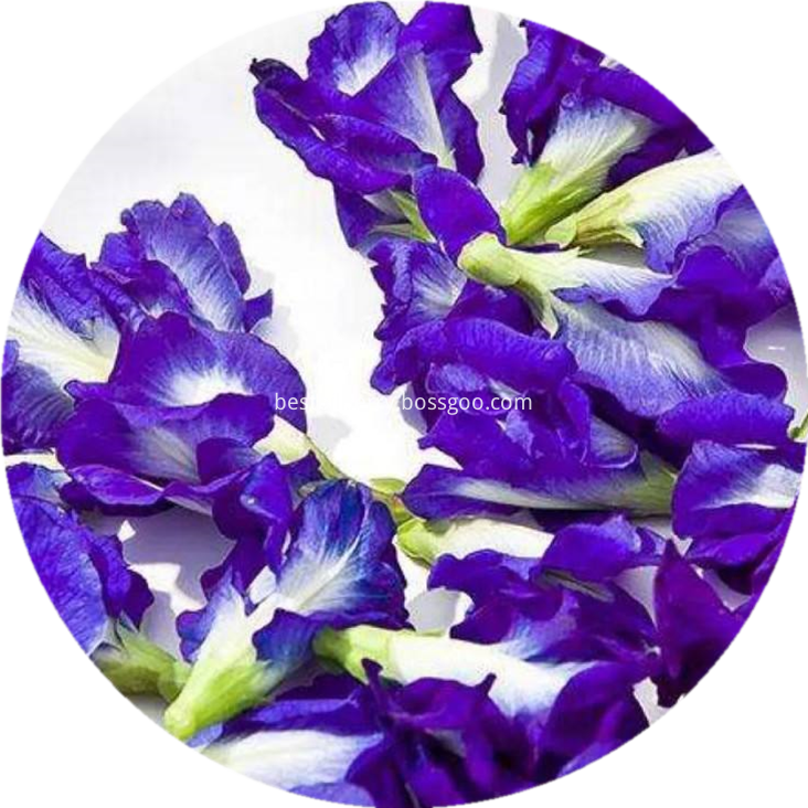 butterfly pea