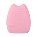 Nettoyant pour le visage sonore et brosse masseur