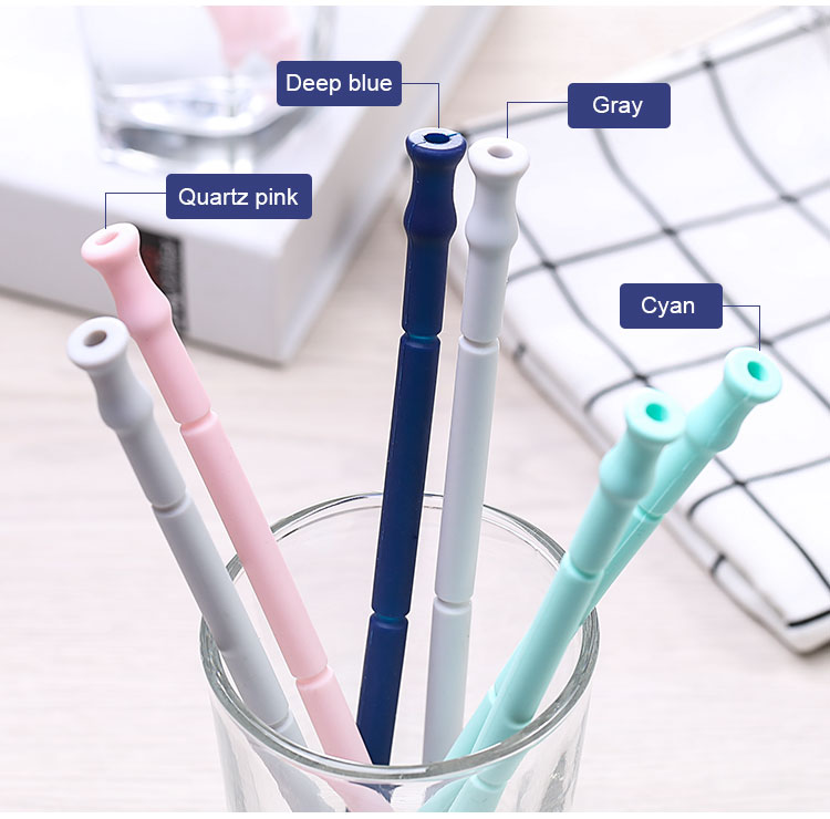 Reusable Straws With Case Keychain