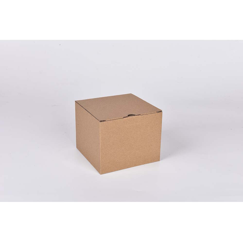 Cartons with Straw