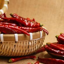 Top dried chili wholesale Shizhu chili food seasoning