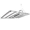 Choice Choice Planta interna LED BROW LUZ BAR