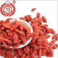 Raw goji berry dried fruit A grade