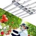 Strawberry Weed Growing Lamp 480W 6Bars