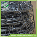 Protection Hot DIP Galvanized Welded / Spiral Blade Thorn Rope / Concertina Razor Barbed Wire For