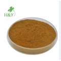 100% natural sarsaparilla extract powder