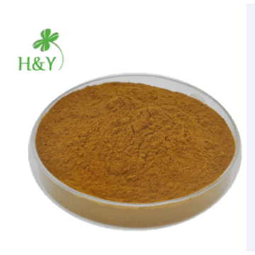 100% natural sarsaparilla extract powder