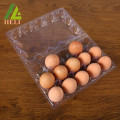 Transparent Plastic Chicken Egg Trays With Lid