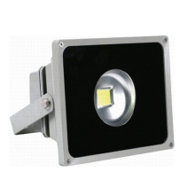 Holofotes de jardim de LED ES-50W