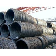 Prime Quality Warmgewalzter Stahl Wire Rod in Coil Grade SAE1008