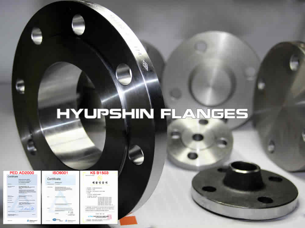 Hyupshin Flanges Weld Neck Forged Flanges