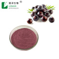 Acai berry extract powder food grade acai powder