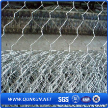 5X5 Hexagonal Wire Mesh de alta qualidade