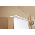 Wall Mount Storage Plywood Mirror Cabinet with LED