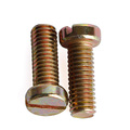 Color Zinc Slotted Cylinder Head Bolt