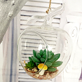 Wholesale Apple Shaped Glass Hanging Air Plant Terrarium