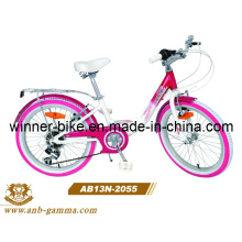 20′′alloy Child Bike 6 Speed Girl Bicycle (AB13N-2055)