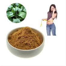 Pure Natural Natural Bulk Plantain Husk Powder