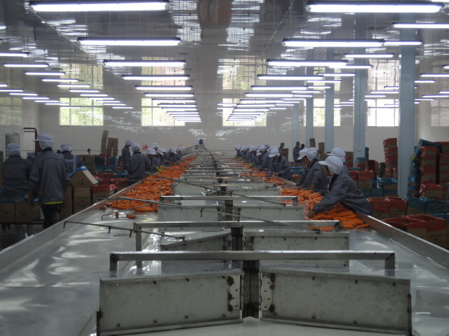 Processing line-2