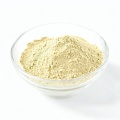 Hot Sale Ginseng Extract Powder