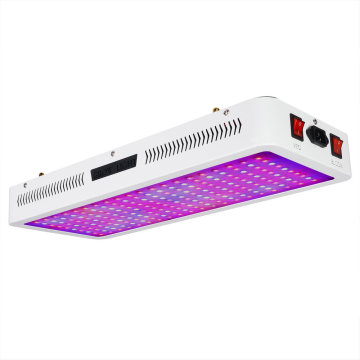 2000w High Power Grow Light para plantas de interior