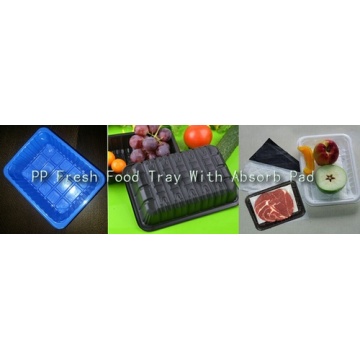 with Absorb Pad Disposable FDA/SGS Food Grade Custom Made Thermoformed Plastic Meat Container