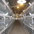 H Type Broiler Farming Equipment