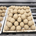 Abrasive alumina ceramics grinding ball in grinding machine