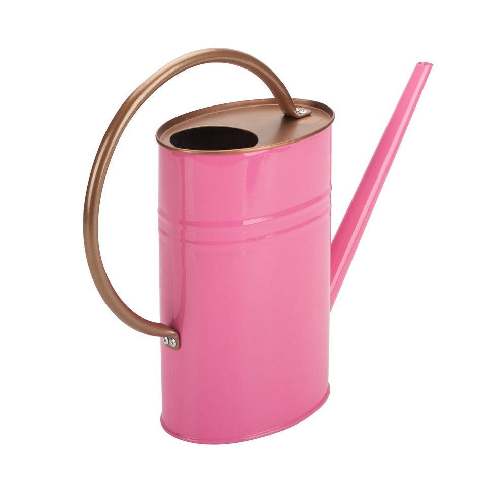 Pretty Watering Can