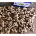 Hortalizas frescas Air Dry Ginger