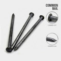 Factory Supply 6D Common Wire Nails with Good Quality