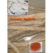 (Extracto de Eurycoma Longifolia) --- Polvo 100: 1 Eurycoma Longifolia
