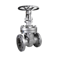 40Mpa Dn150 Titanium gate Valves For sewage treatment